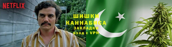 прущие крисы Нефтекумск