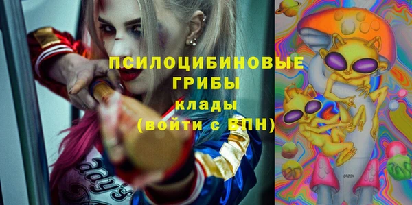 a pvp Надым