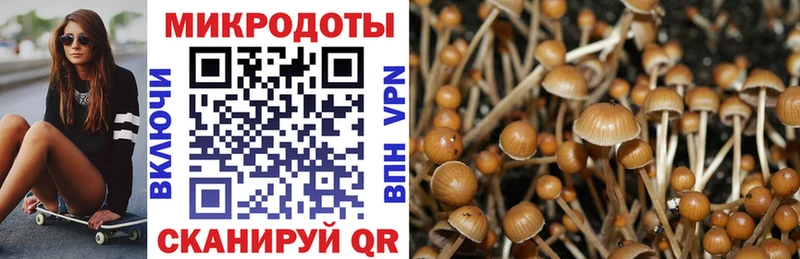 Галлюциногенные грибы мицелий  Калтан 